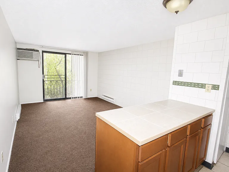1 BR