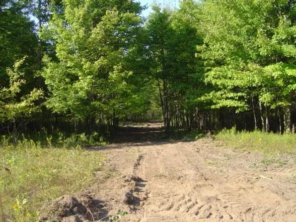 W Salt River Rd, Shepherd, MI 48883