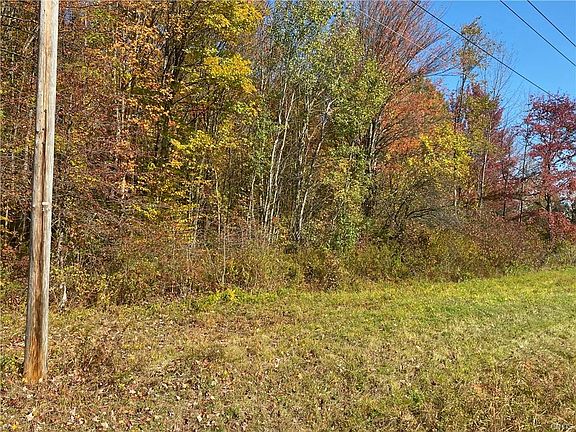 3rd image of Nys Route 49 #Lot 1