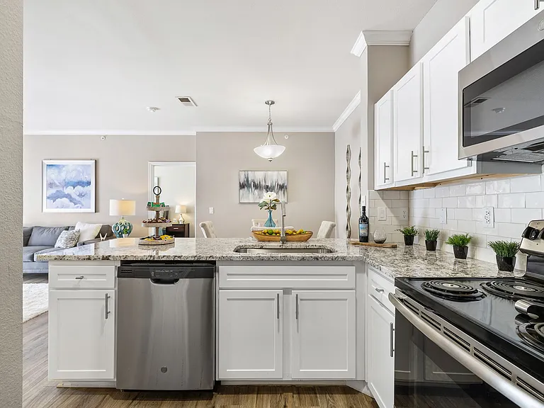 Sonterra Apartment Homes — Photo 48