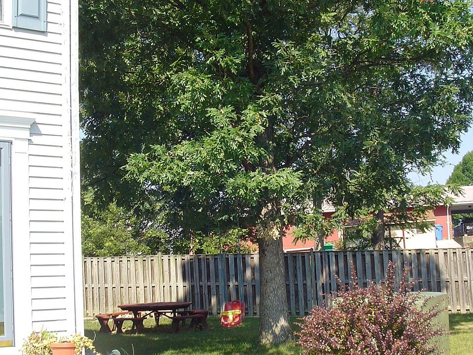 side yard