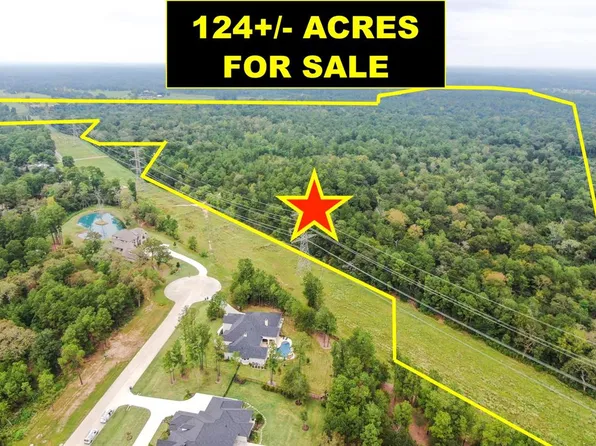 31110 Wild Pecan Dr, Tomball, TX 77375