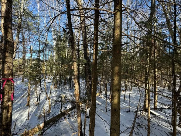 LOT 6 638 Mercer Lake Cres S, Mercer, WI 54547