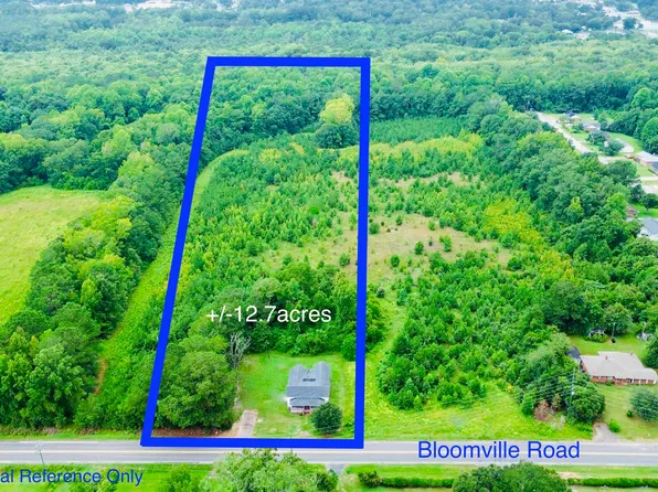 1292 Bloomville Rd., Manning, SC 29102