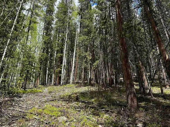 TBD Gold Brick, Ohio City, CO 81237