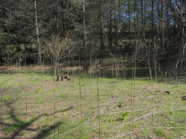 Tbd Stone Ridge Rd, Austinville, VA 24312