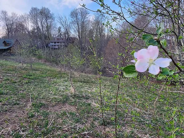 155 Ramsey Hollow Ln, Banner Elk, NC 28604