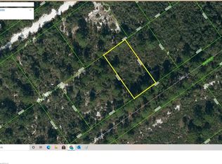 1214 Heathrow St, Lake Placid, FL 33852