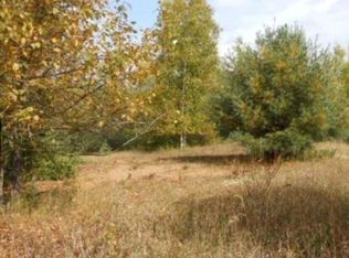 0 Pueblo Trl, Evart, MI