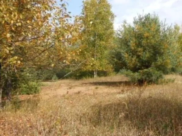 0 Pueblo Trl, Evart, MI 49631