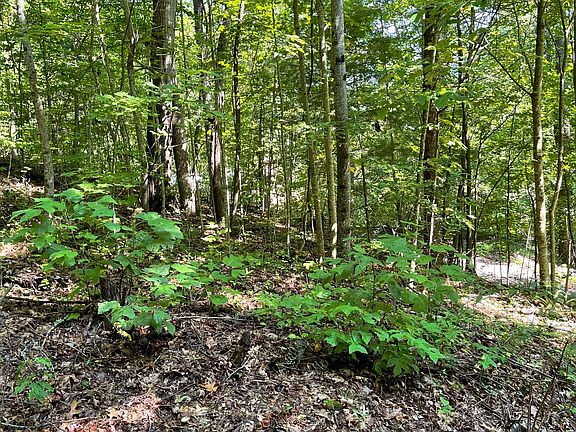 2nd image of LOT 8D Eagle Heights Rd