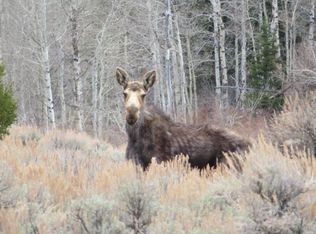 Camp Creek Rd, Butte, MT 59701