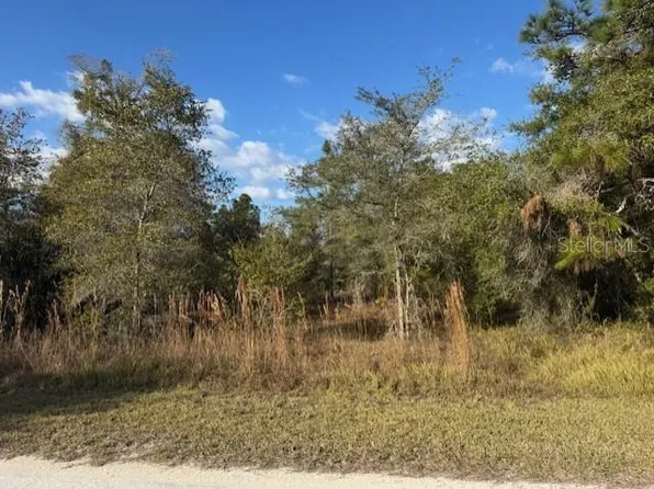 35361 Kramer St Lot 9, Webster, FL 33597
