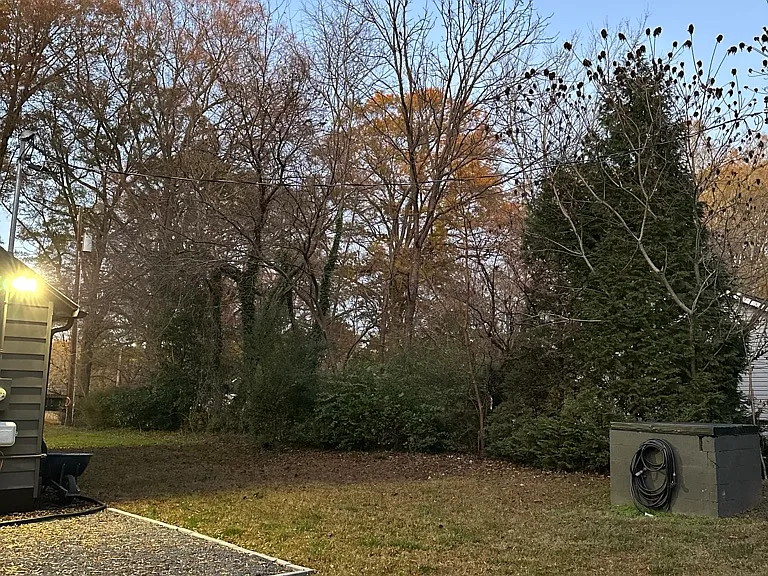 Side of the backyard, well water tank.