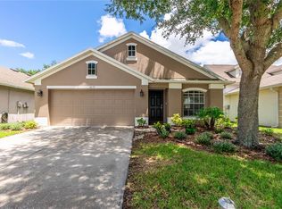 14157 Lemon Yellow Tree Ln, Brooksville, FL 34613