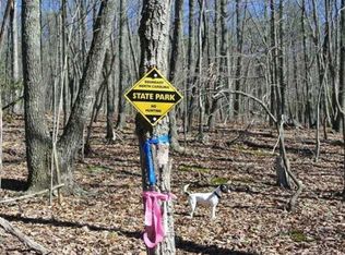 00 Mickey Rd #73, Westfield, NC 27053