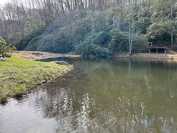 Image2