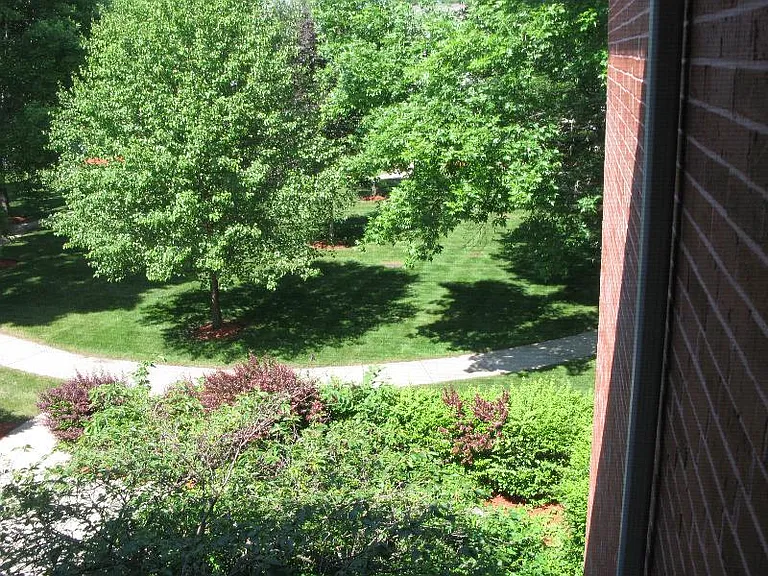 View from 2nd Bedroom