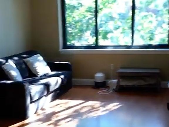 3rd image of 85 Brainerd Rd APT 316F