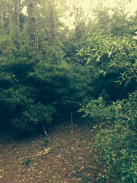 2nd image of 1454 Moonstone Way