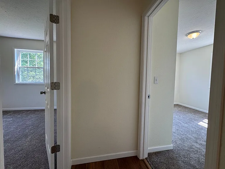 26910 Stephanie Ln — Photo 15