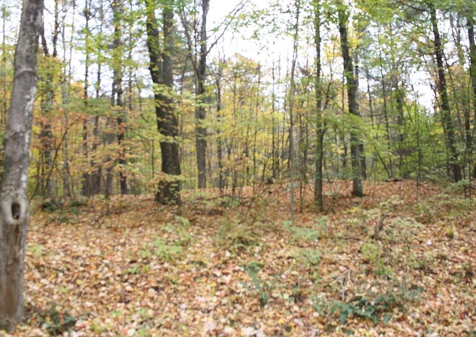2nd image of 0 Mathews Rd