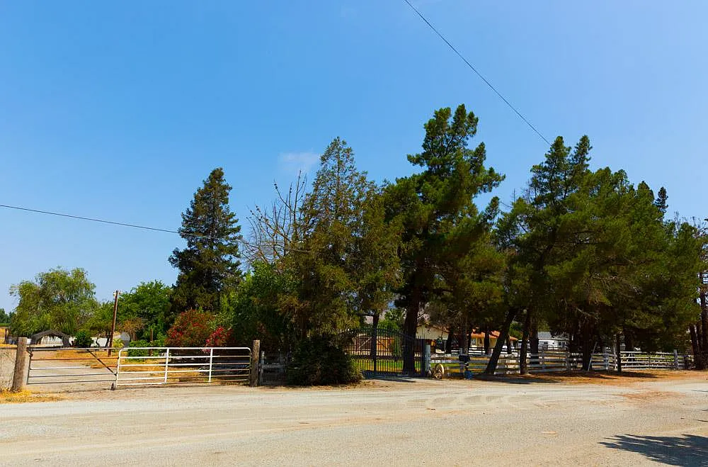 9695 Moreno Ln photo 1