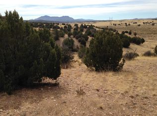 8101 W Dillon Wash Rd, Prescott, AZ 86305