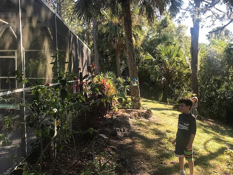 Back Yard