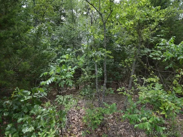 3 E 984th Rd, Vian, OK 74962