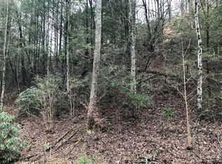 Butler Branch Rd, Gatlinburg, TN 37738