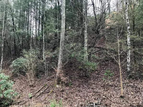 Butler Branch Rd, Gatlinburg, TN 37738