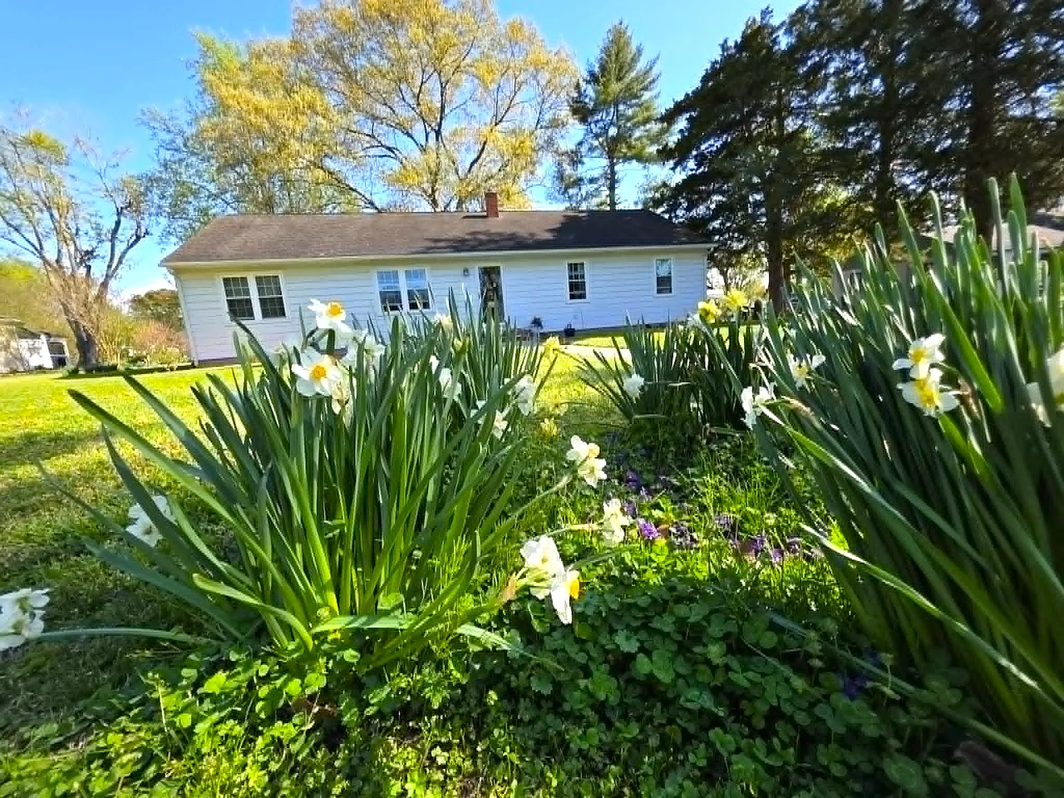 104 Lee Drive - 1 — Photo 4