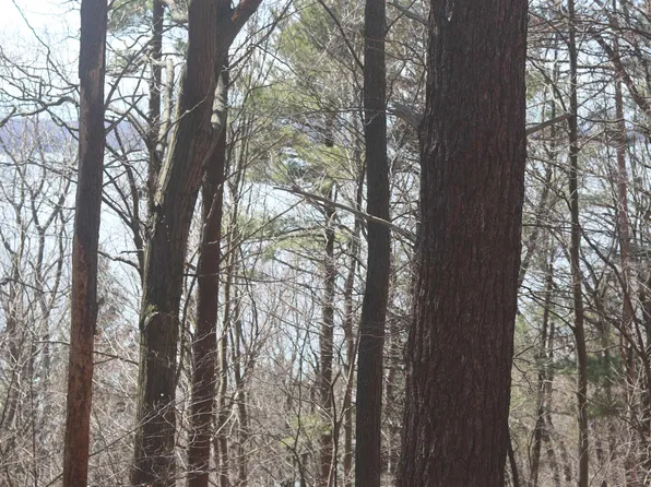 LOT 5 Crystal View Cmn, Beulah, MI 49617