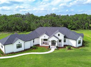 111 Alafia Estates Ln, Plant City, FL 33567