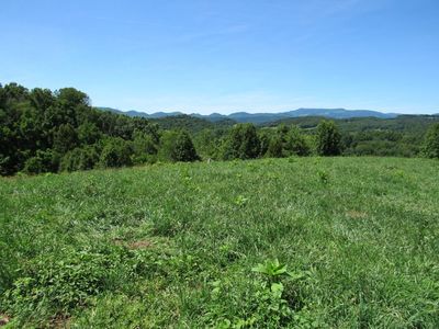 LOT 5A Logan Creek Rd, Meadowview, VA, 24361