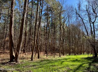 Spring Rd LOT 2, Flora, MS 39071