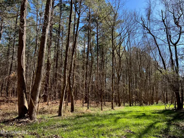 Spring Rd Lot 2, Flora, MS 39071