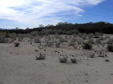 5th image of Old Hwy #80