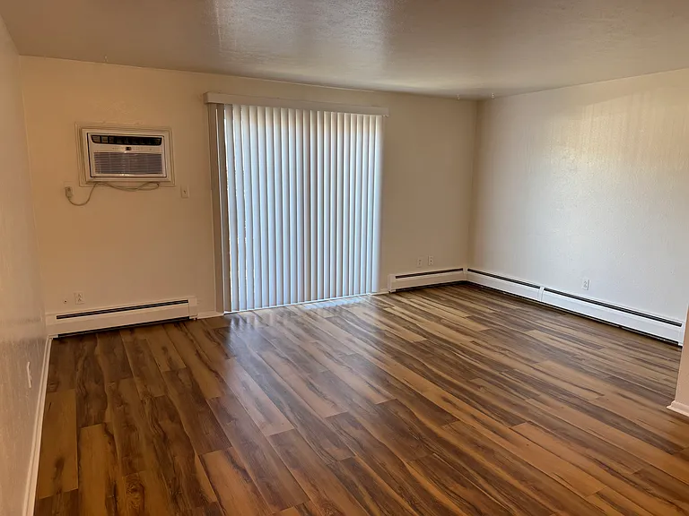 Living Room with new through wall A/C, new vertical shade, new LVP.