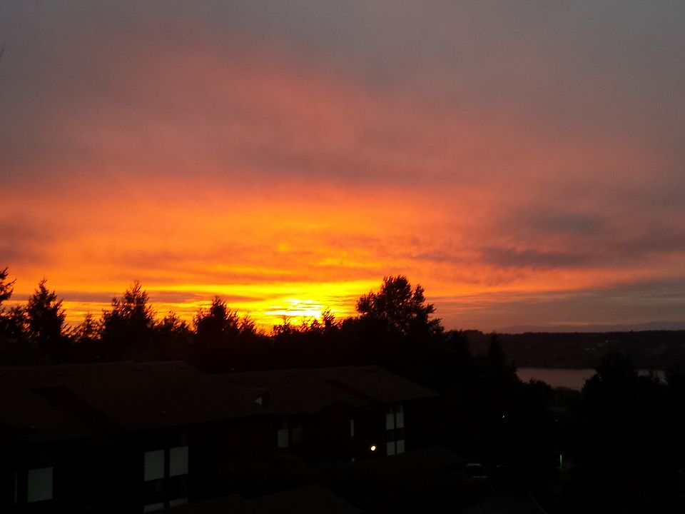 View #1
