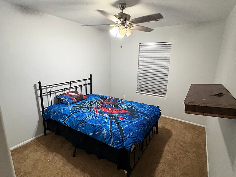 41219 W Brandt Dr — Photo 10