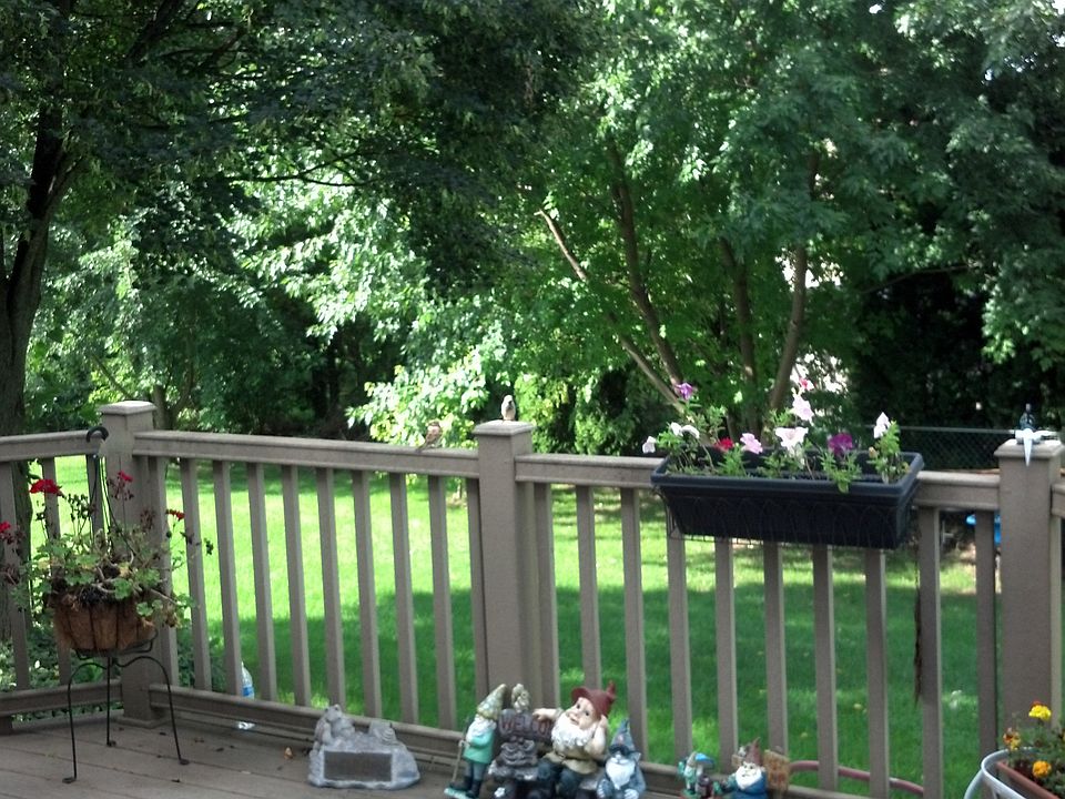 2nd image of 736 Feather Ct