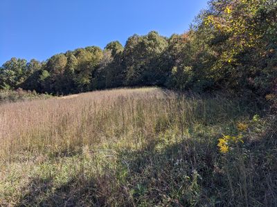 2165 Enterprise Rd, Piney Flats, TN, 37686
