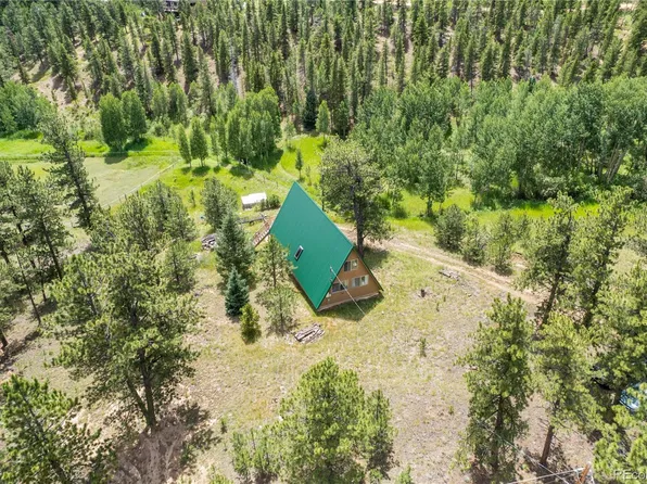 368 Rising Sun Road, Bailey, CO 80421