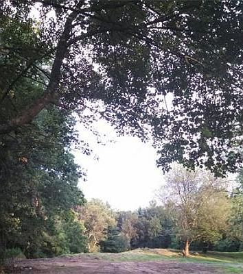 2nd image of 6 Delray Dr