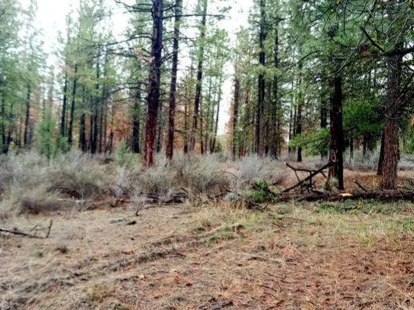 1 Forest Rd #9715, Chiloquin, OR 97624