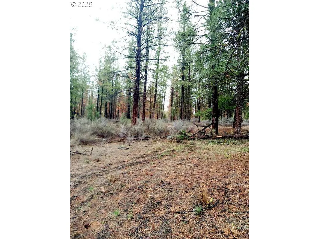 1 Forest Rd #9715 photo 1