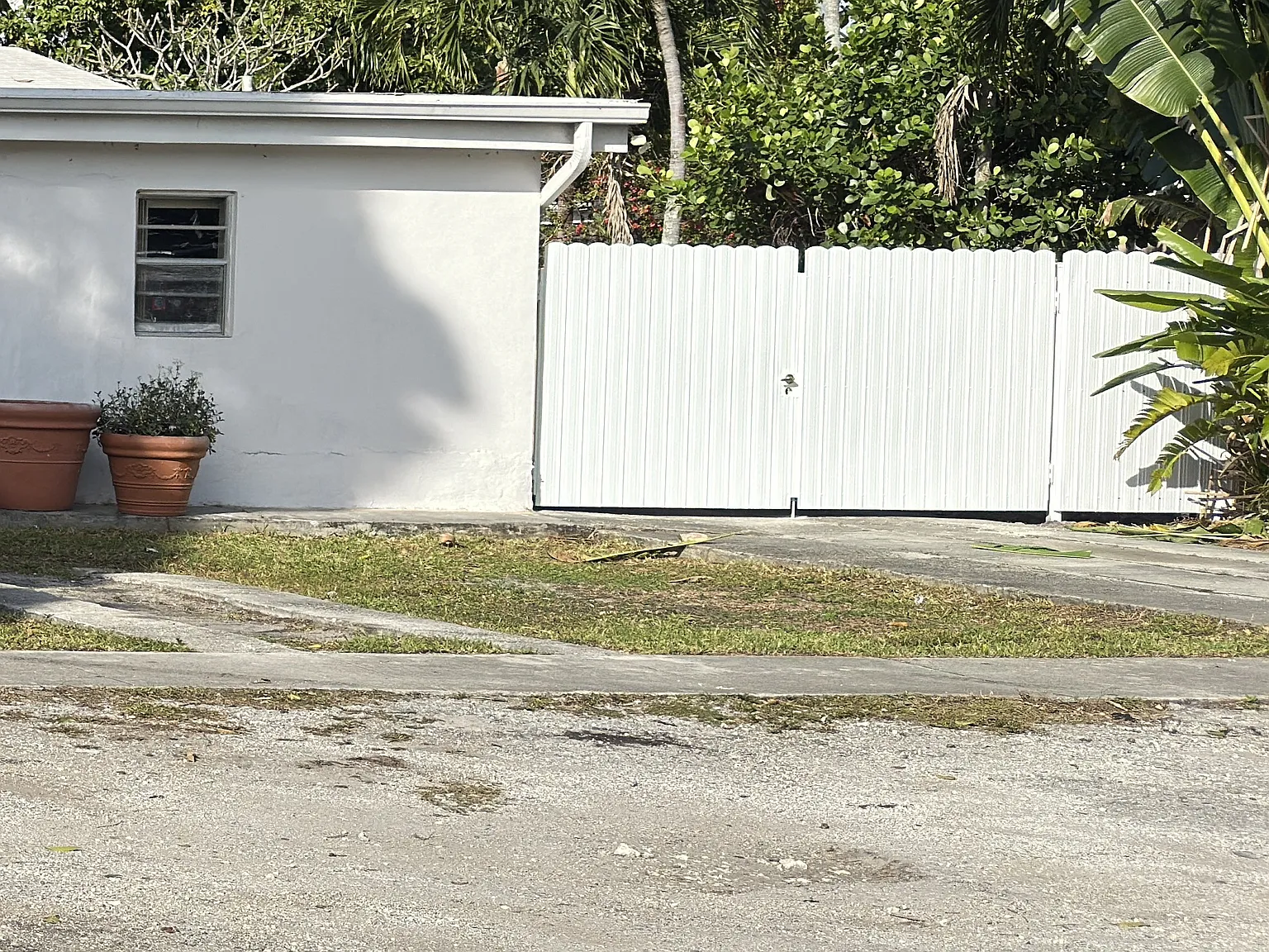 Studio, 350 sqft, $1,400 — Photo 1