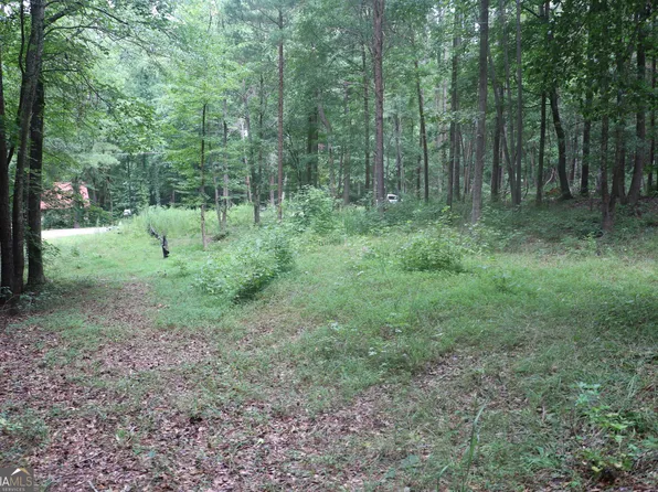 304 Mountain View Rd, Lavonia, GA 30553